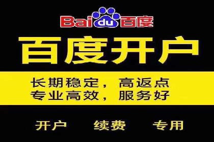SEM托管代运营服务案例解析